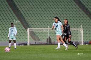Santos vs Necaxa femenil