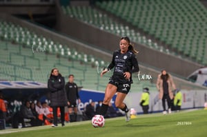 Santos vs Necaxa femenil