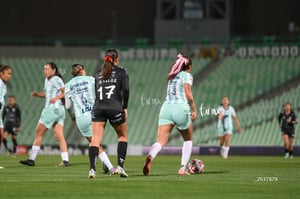 Santos vs Necaxa femenil
