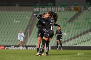 Santos vs Necaxa femenil