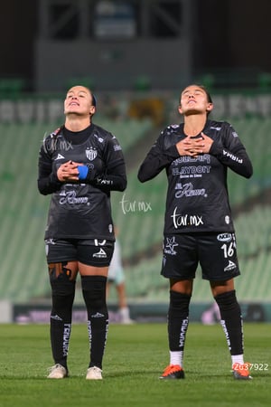 Santos vs Necaxa femenil
