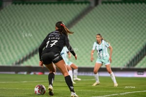 Santos vs Necaxa femenil