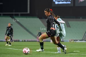 Santos vs Necaxa femenil