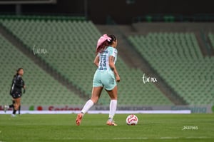 Santos vs Necaxa femenil