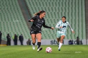 Santos vs Necaxa femenil