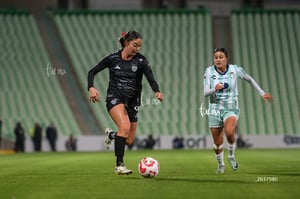 Santos vs Necaxa femenil