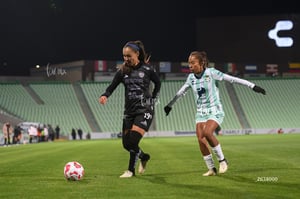 Santos vs Necaxa femenil