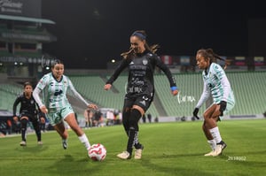 Santos vs Necaxa femenil