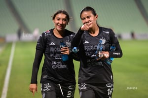 Santos vs Necaxa femenil