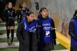 Santos vs Necaxa femenil