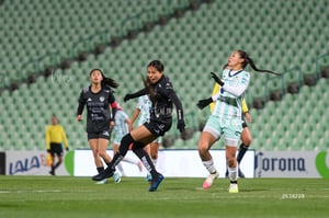Santos vs Necaxa femenil
