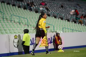 Santos vs Necaxa femenil