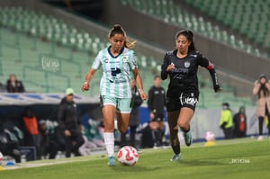 Santos vs Necaxa femenil