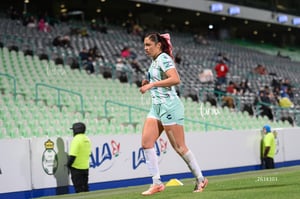 Santos vs Necaxa femenil