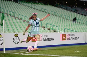 Santos vs Necaxa femenil