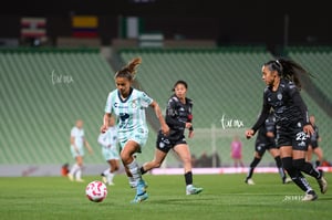 Santos vs Necaxa femenil