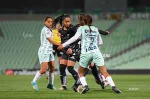 Santos vs Necaxa femenil