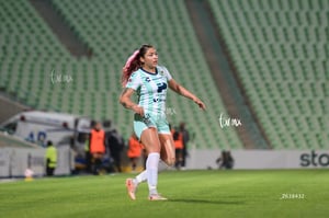 Santos vs Necaxa femenil
