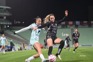 Santos vs Necaxa femenil