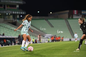 Santos vs Necaxa femenil