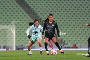 Santos vs Necaxa femenil