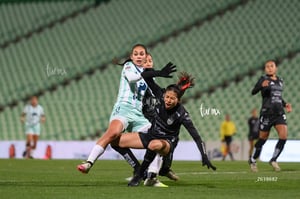 Santos vs Necaxa femenil