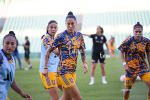 Santos vs Tigres femenil