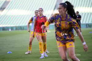 Santos vs Tigres femenil