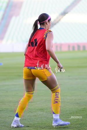 Santos vs Tigres femenil