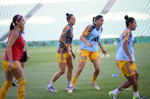 Santos vs Tigres femenil