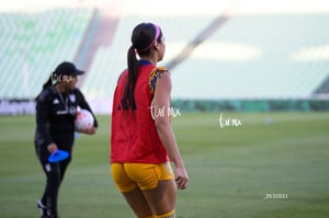 Santos vs Tigres femenil