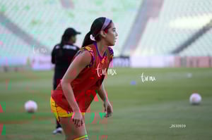 Santos vs Tigres femenil