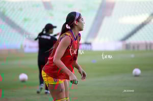 Santos vs Tigres femenil