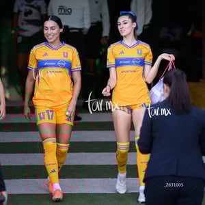 Santos vs Tigres femenil