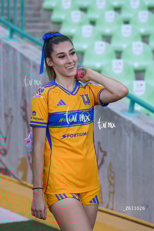 Santos vs Tigres femenil