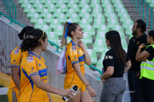 Santos vs Tigres femenil