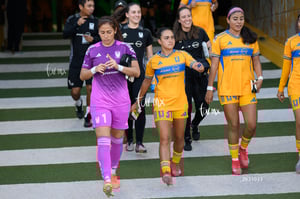 Santos vs Tigres femenil