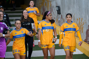 Santos vs Tigres femenil