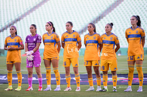 Santos vs Tigres femenil