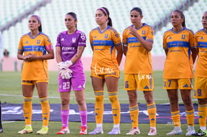 Santos vs Tigres femenil