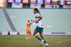 Santos vs Tigres femenil