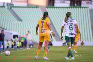 Santos vs Tigres femenil