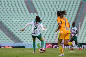 Santos vs Tigres femenil