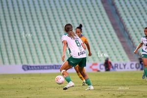 Santos vs Tigres femenil
