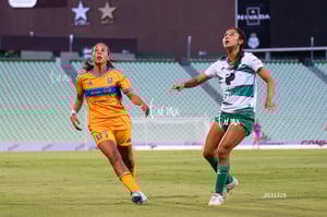 Santos vs Tigres femenil