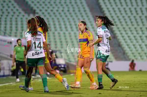 Santos vs Tigres femenil