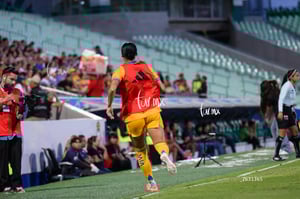 Santos vs Tigres femenil