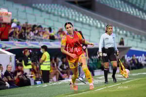 Santos vs Tigres femenil