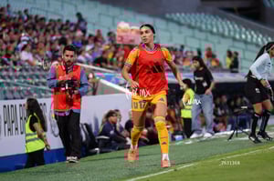 Santos vs Tigres femenil