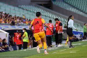 Santos vs Tigres femenil